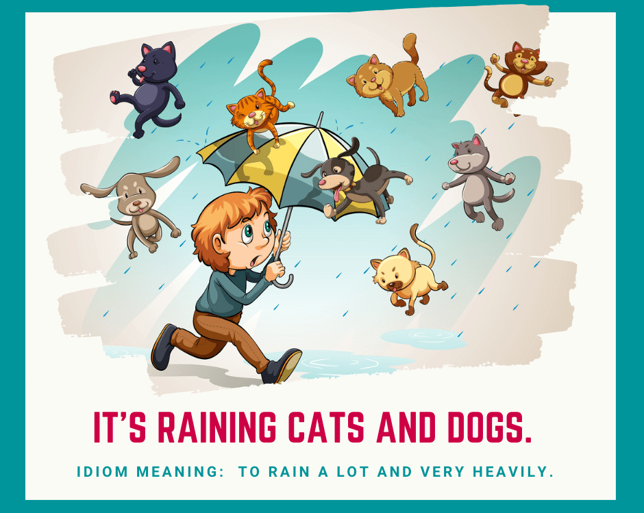 belajar idiom rain