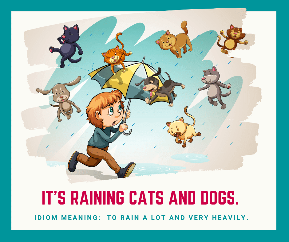 belajar idiom rain
