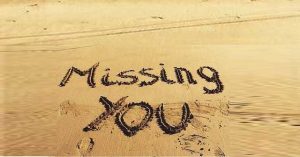 arti lain dari kata miss